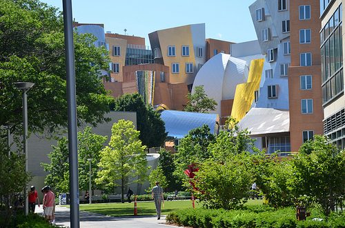 MIT's Stata Center