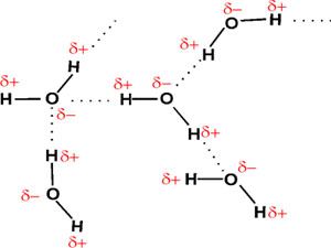 hf hydrogen h2o bonds nh3 water molecule many molecules between does why each atoms these form another polarity order than