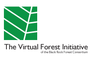 Virtual Forest Initiative