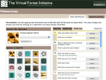 virtualforest.jpg