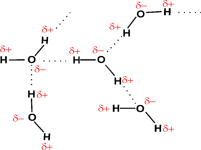 waterhb.gif (5131 bytes)