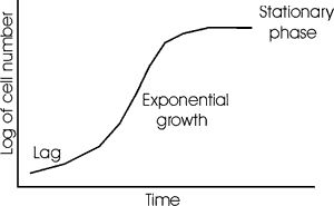 exponential growth graph biology