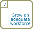 Step 7: Grow an adequate workforce