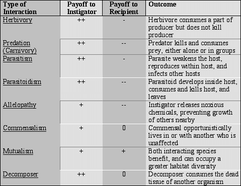 Consumer Table