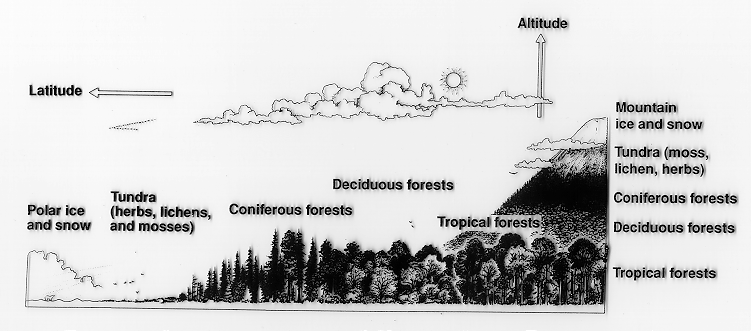 Relationship between latitude and altitude, copyright 1990 Wadsworth, Inc.