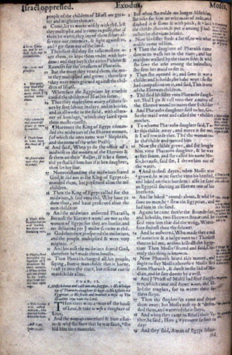 Geneva Bible (1560): p. 24v